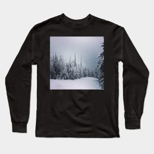 A Landscape for Meditation and Skiing Long Sleeve T-Shirt